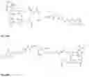 Fig. 26 - Synthesis and composition of photodynamic therapeutic agents for the targeted treatment of cancer