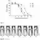 Fig. 41 - Synthesis and composition of photodynamic therapeutic agents for the targeted treatment of cancer