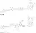 Fig. 43 - Synthesis and composition of photodynamic therapeutic agents for the targeted treatment of cancer