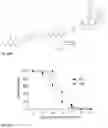 Fig. 46 - Synthesis and composition of photodynamic therapeutic agents for the targeted treatment of cancer