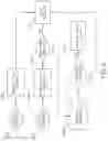 Fig. 06 - Apparatus and method for sterilizing medical devices