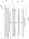 Fig. 02 - METHODS OF FORMING THREE-DIMENSIONAL TISSUES SCAFFOLDS USING BIOLOGICAL FIBER INKS AND METHODS OF USE THEREOF