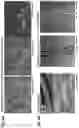 Fig. 08 - METHODS OF FORMING THREE-DIMENSIONAL TISSUES SCAFFOLDS USING BIOLOGICAL FIBER INKS AND METHODS OF USE THEREOF