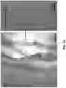 Fig. 12 - METHODS OF FORMING THREE-DIMENSIONAL TISSUES SCAFFOLDS USING BIOLOGICAL FIBER INKS AND METHODS OF USE THEREOF