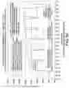 Fig. 09 - Method and apparatus for trending automated peritoneal dialysis treatments
