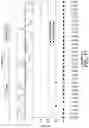 Fig. 26 - Method and apparatus for trending automated peritoneal dialysis treatments