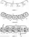 Fig. 08 - HEMODIALYSIS SYSTEM HAVING A FLOW PATH WITH A CONTROLLED COMPLIANT VOLUME