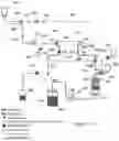 Fig. 22 - HEMODIALYSIS SYSTEM HAVING A FLOW PATH WITH A CONTROLLED COMPLIANT VOLUME