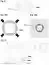 Fig. 12 - Drug delivery system with multipolar magnet and sensor system