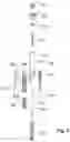 Fig. 03 - Button and button assembly for a drug delivery device