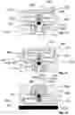 Fig. 08 - Button and button assembly for a drug delivery device
