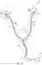 Fig. 34 - Ureteral and Bladder Catheters and Methods of Inducing Negative Pressure to Increase Renal Perfusion