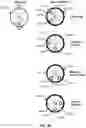 Fig. 28 - Multi-port syringe system and method for use with a urinary catheter
