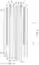 Fig. 03 - MAGNETICALLY GUIDED CATHETER WITH CONCENTRIC NEEDLE PORT