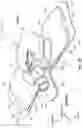 Fig. 03 - Catheter securement device including extended anchor pad and release liner clasping features