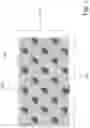 Fig. 02 - Customizable tattoo stamp for permanent multicolor tattoo on skin