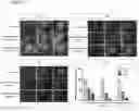 Fig. 08 - Method of using multichannel stimulation system for regenerating damaged corneal nerves