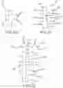 Fig. 13 - Flexible high-density mapping catheter tips and flexible ablation catheter tips with onboard high-density mapping electrodes