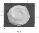 Fig. 03 - Portable containment device
