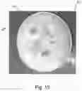 Fig. 14 - Portable containment device