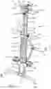 Fig. 02 - Climbing exercise apparatus