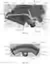 Fig. 24 - Golf club having an adjustable weight assembly