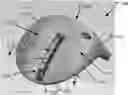 Fig. 01 - Golf club having an adjustable weight assembly