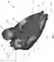 Fig. 02 - Toy Vehicle Booster