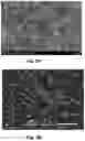 Fig. 06 - Method and device for separating extracellular vesicles from biological liquids with the aid of cascade ultrafiltration