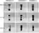 Fig. 01 - Method of preparing carbon aerogel precursor, carbon aerogel precursor prepared thereby, and carbon aerogel