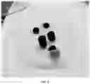 Fig. 05 - Method of preparing carbon aerogel precursor, carbon aerogel precursor prepared thereby, and carbon aerogel