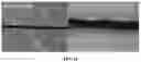 Fig. 19 - Method of preparing carbon aerogel precursor, carbon aerogel precursor prepared thereby, and carbon aerogel