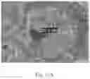Fig. 29 - Polymeric capsules