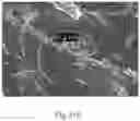 Fig. 40 - Polymeric capsules