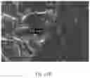Fig. 44 - Polymeric capsules