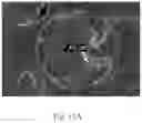 Fig. 23 - Methods of Making Polymeric Capsules