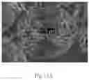 Fig. 27 - Methods of Making Polymeric Capsules