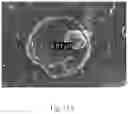 Fig. 31 - Methods of Making Polymeric Capsules
