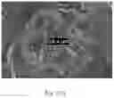 Fig. 43 - Methods of Making Polymeric Capsules