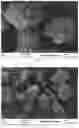 Fig. 02 - Process for producing a calcium phosphate reactant, reactant obtained and use thereof in the purification of liquid effluents