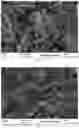 Fig. 03 - Process for producing a calcium phosphate reactant, reactant obtained and use thereof in the purification of liquid effluents