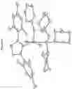 Fig. 09 - Synthesis and characterization of Ru alkylidene complexes