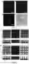 Fig. 08 - Hydrogel membrane and methods for selective retrieval of microbial targets