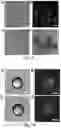 Fig. 09 - Hydrogel membrane and methods for selective retrieval of microbial targets