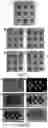 Fig. 10 - Hydrogel membrane and methods for selective retrieval of microbial targets