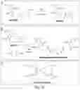 Fig. 13 - Hydrogel membrane and methods for selective retrieval of microbial targets