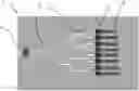Fig. 01 - A BIOSENSOR SYSTEM FOR USE IN POINT-OF-CARE APPLICATIONS AND A METHOD FOR FABRICATING SAME