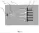 Fig. 02 - A BIOSENSOR SYSTEM FOR USE IN POINT-OF-CARE APPLICATIONS AND A METHOD FOR FABRICATING SAME