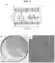 Fig. 04 - Multi-droplet capture