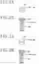 Fig. 03 - Screwdriver